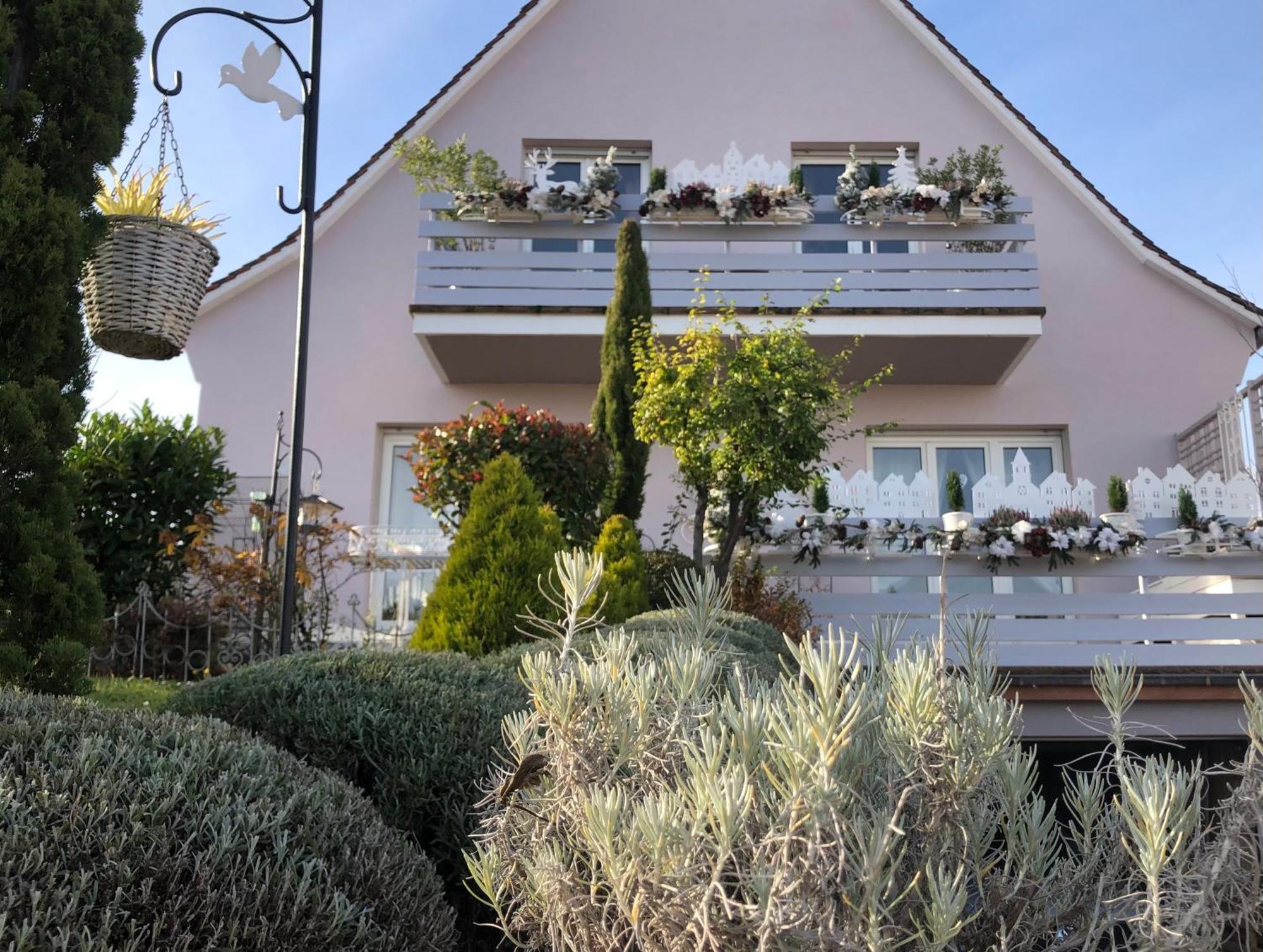 Gite Riquewihr "C'Est Beau La Vie Alsace" Exteriér fotografie